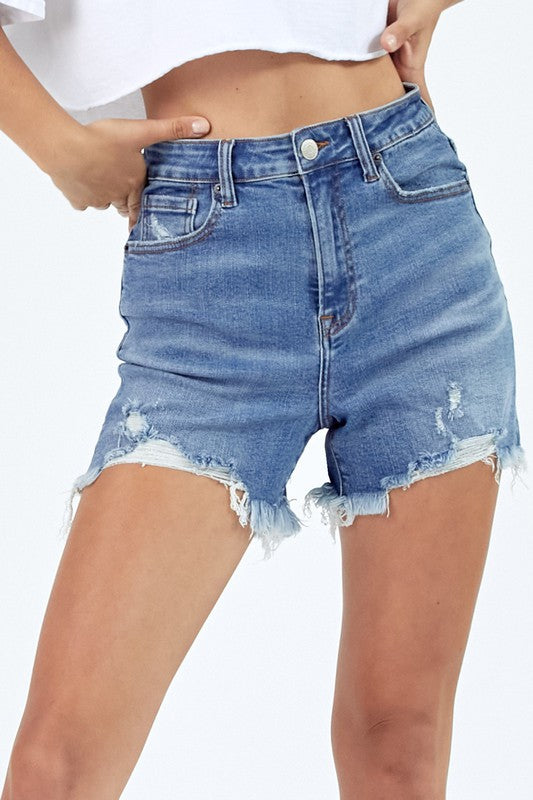 High Rise Shorts